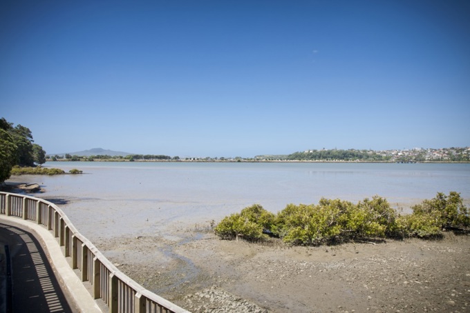 Water quality - a community in action