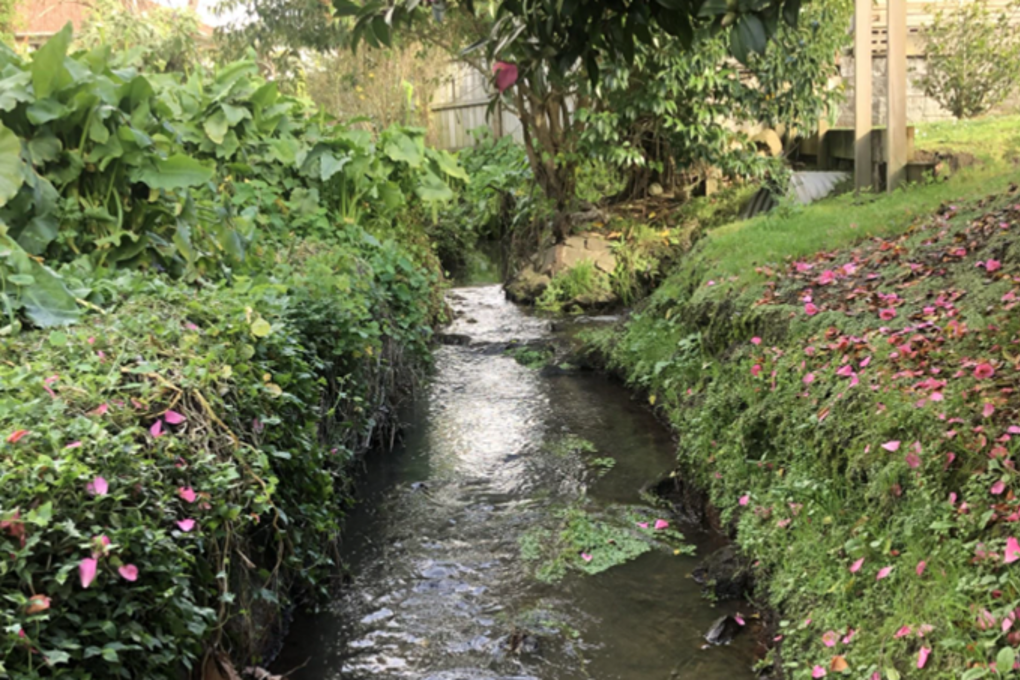 Local Creek