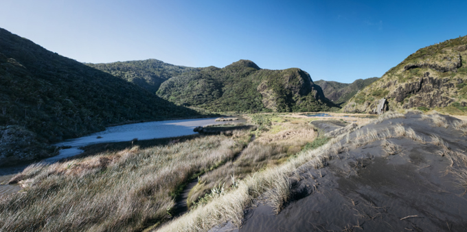 Waitakere Ranges Public Transport Survey Results Released