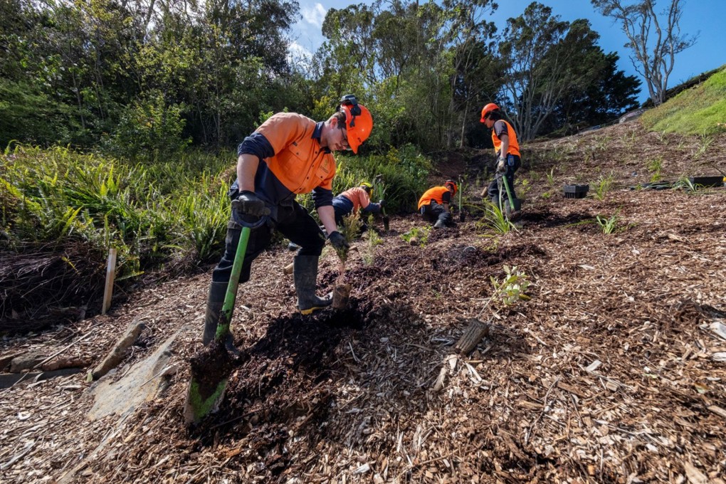 Workers planting native plants