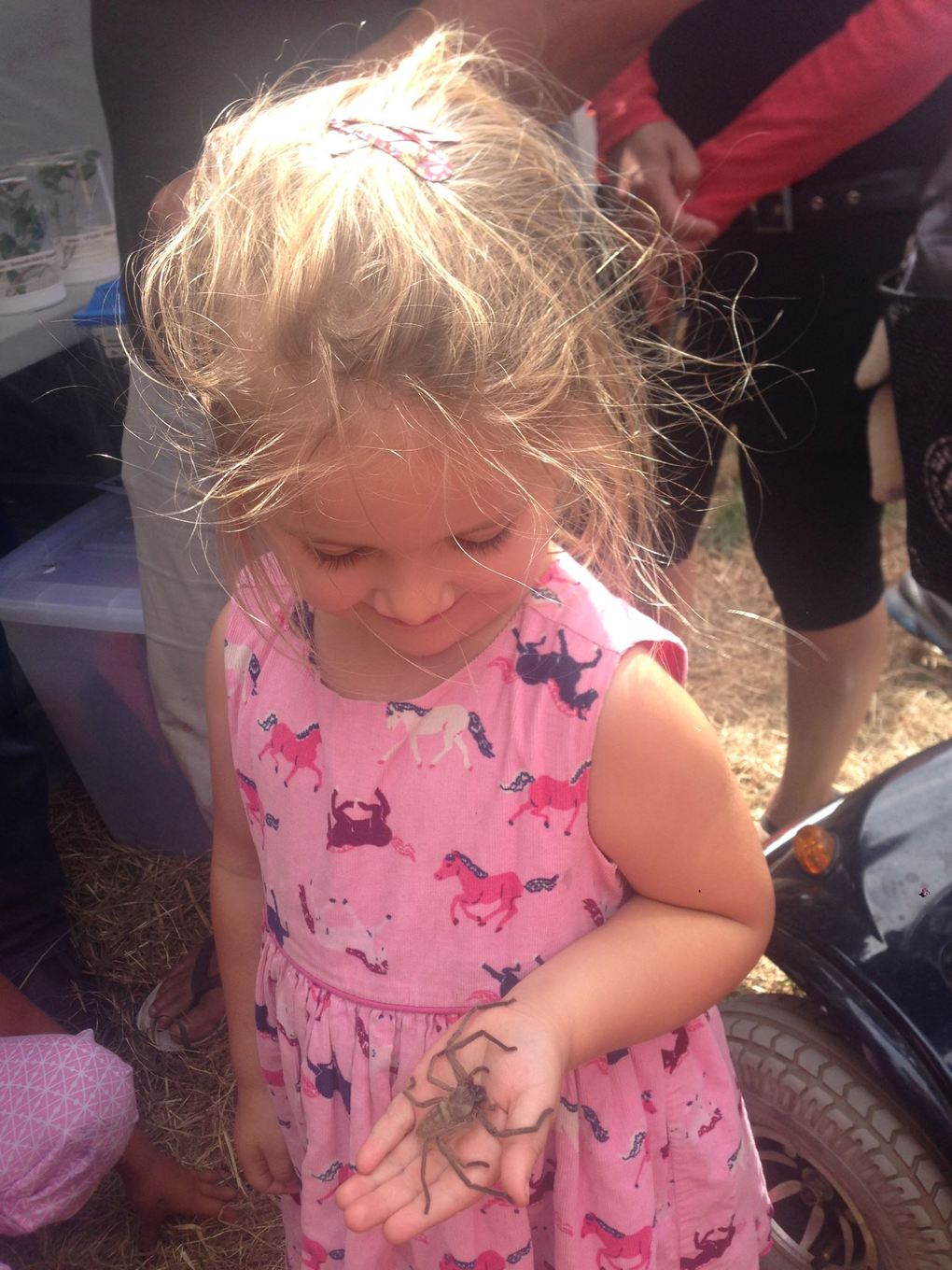 Sophia and spider