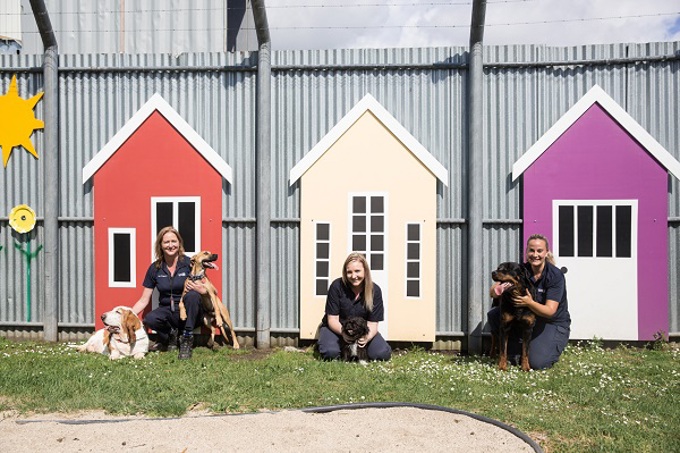 Successful year for Auckland Council Animal Management team