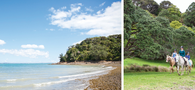 Whakanewha Regional Park