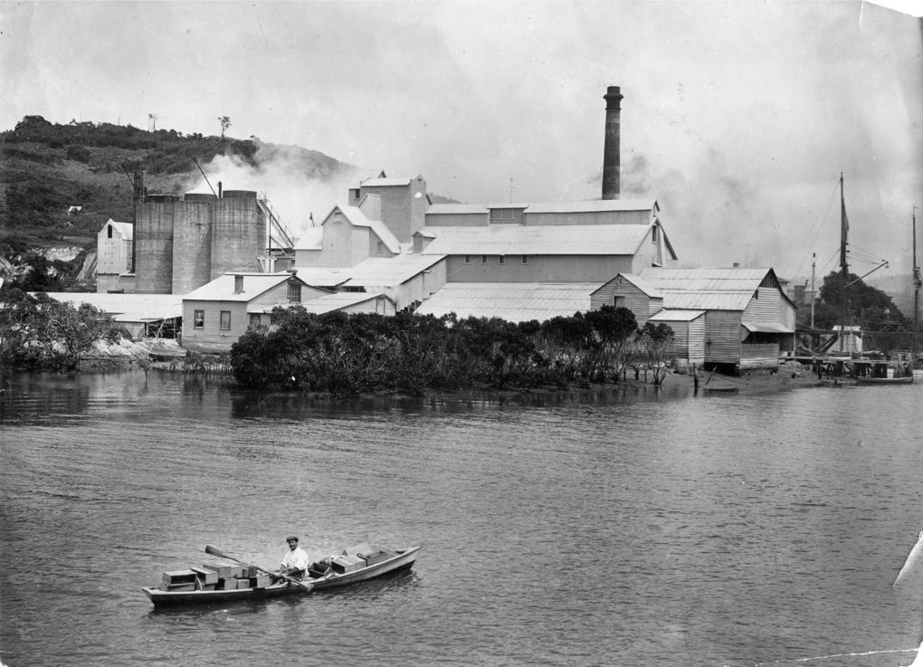 Sweet, Sharp And Bitter Crops That Shaped The Rodney District
