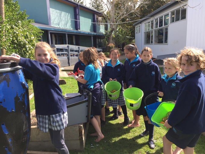 Zero waste grant helps school divert food scraps from landfill