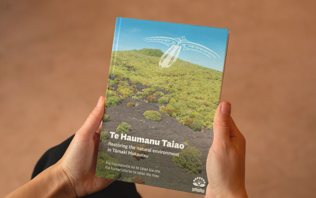 Te Haumanu Taiao