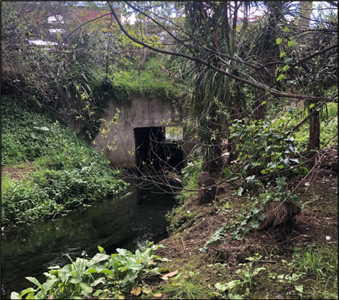 Paerata Culvert