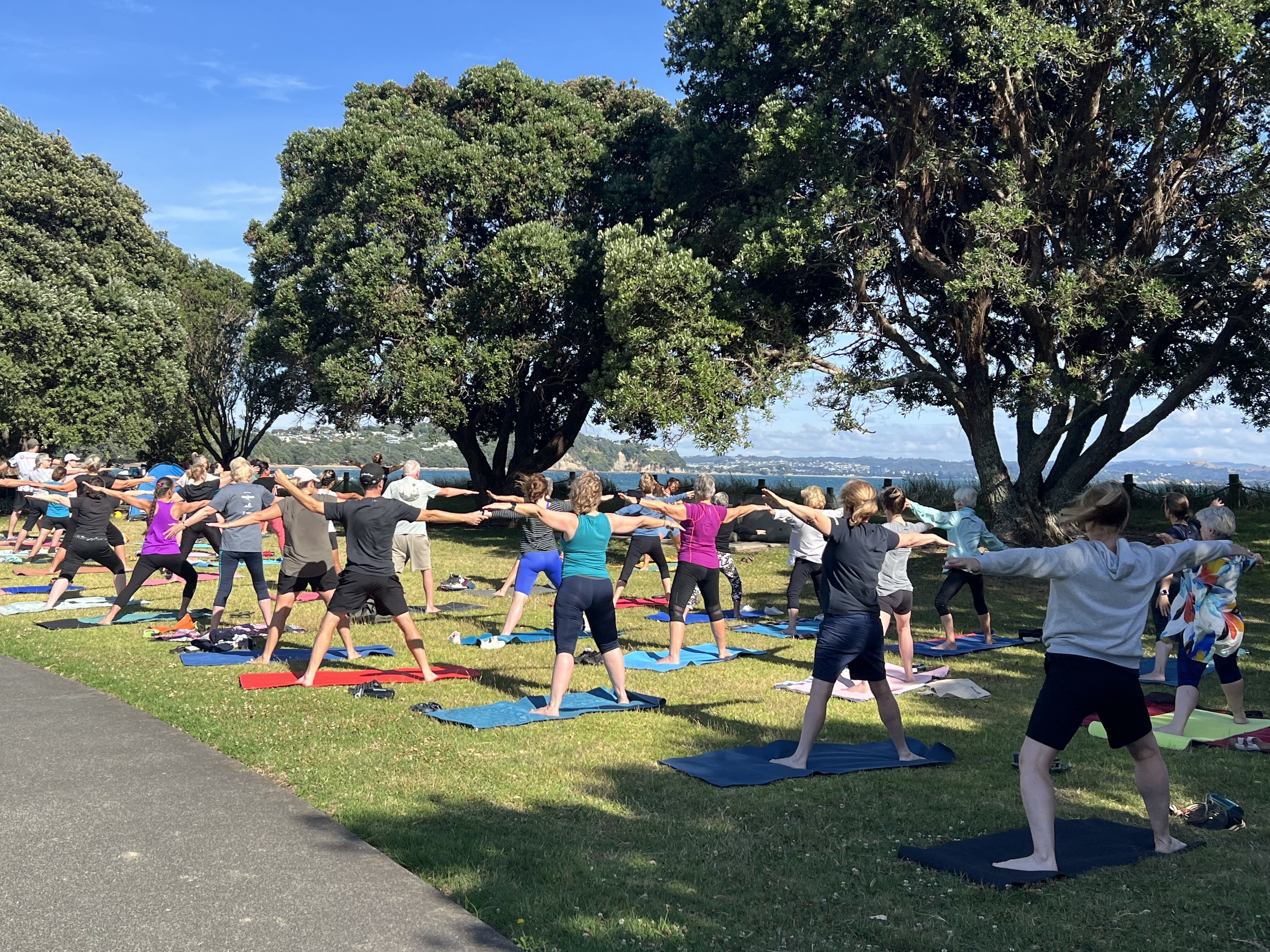 People doing community yoga. 