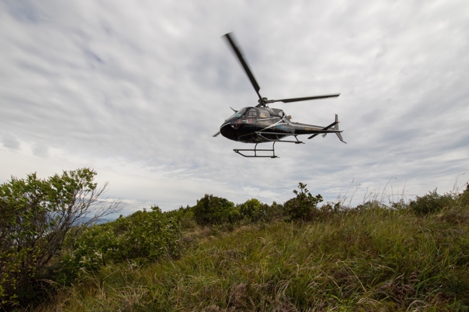 Operation little spotted kiwi part II a success (2)