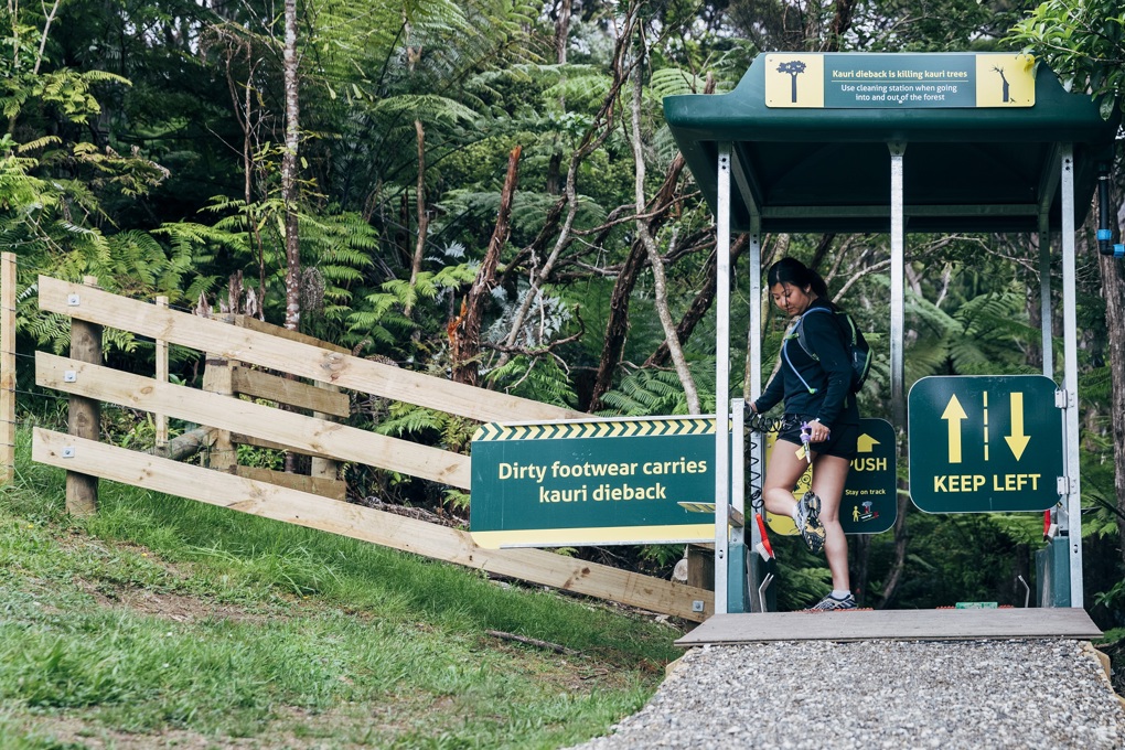 Kauri dieback compliance 21