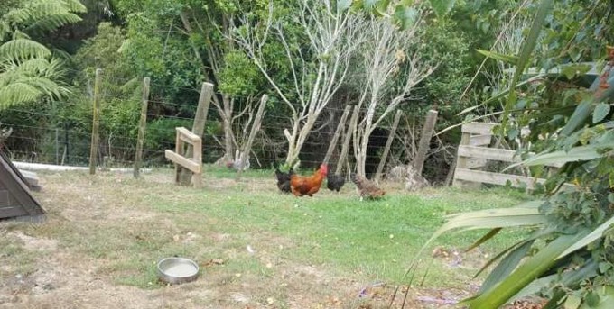 Chick-chasing Gavin living the dream in his bachelor pad