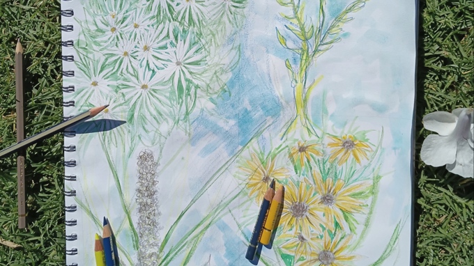 20260323_114003 (1)_x4uxuv4q.jpg