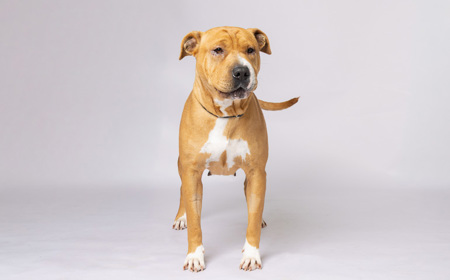 Maggie tile image