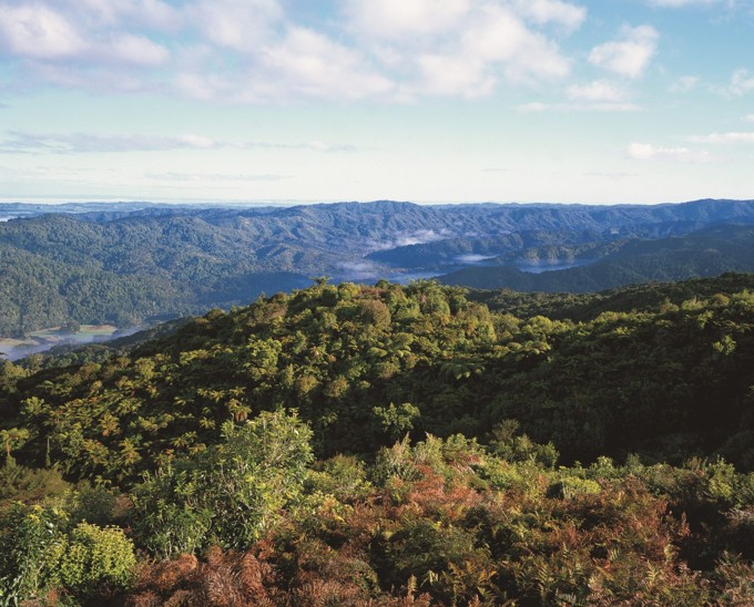 Aerial View Of Te Ngāherehere O Kohukohunui Hūnua Ranges