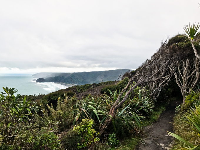 The hidden gems that are urban forests 5