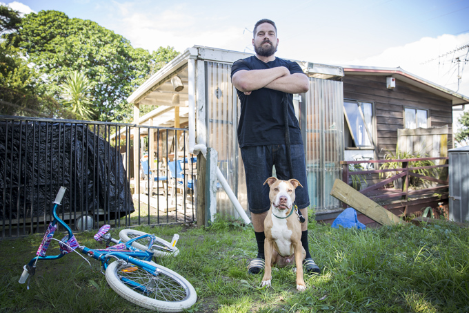 Menacing dogs amnesty