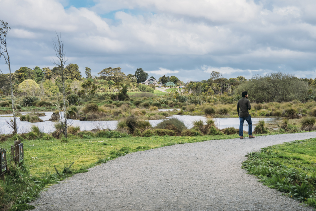 Waiatarua Reserve 1