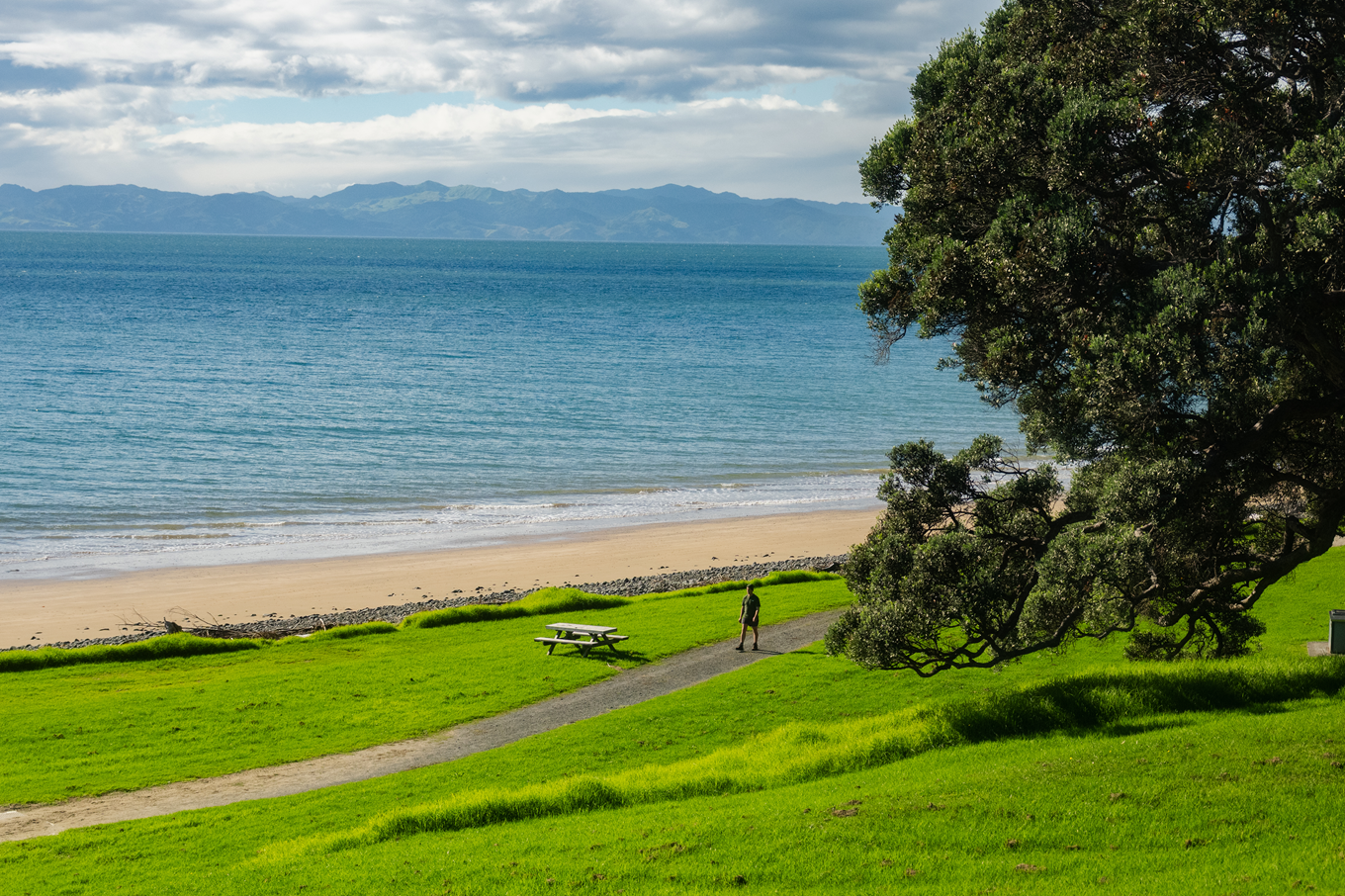 A green walkway by the ocean. 