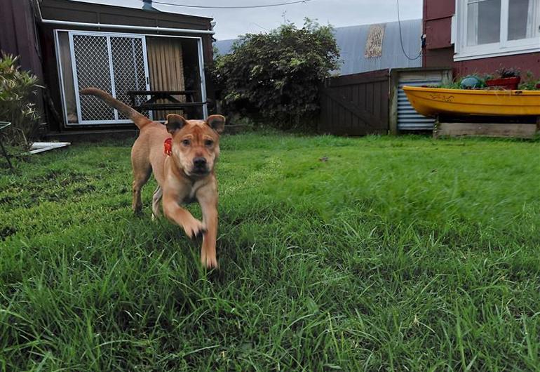 4Beb024d D2b0 4027 94A2 88825F9c0780