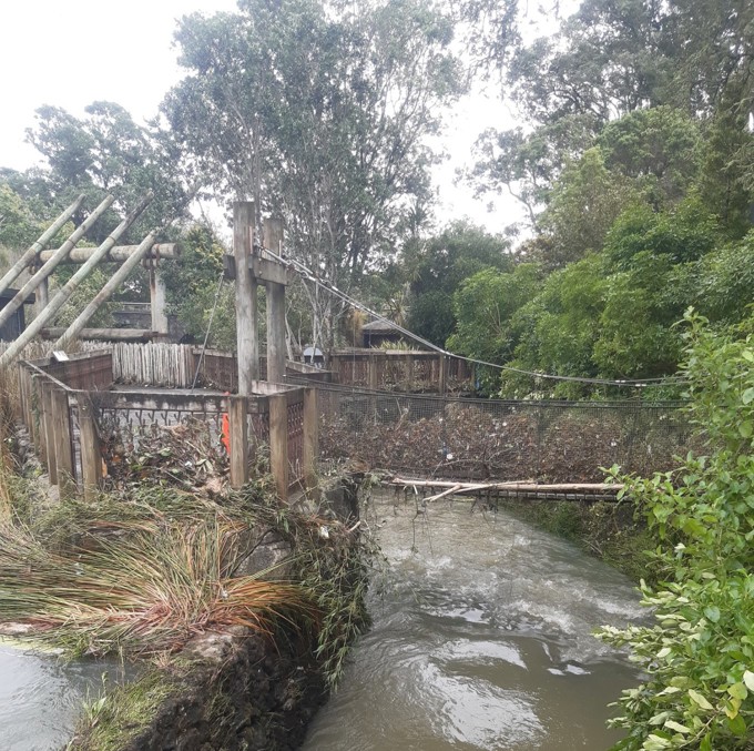 Debris On The Bouncy Bridge At Zoo