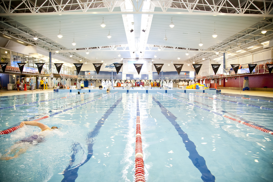A pool with swimming lanes. 