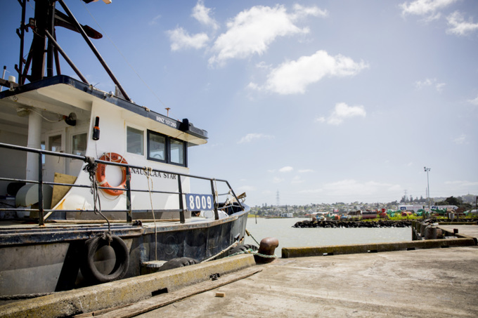 Local board supports plans to develop Onehunga