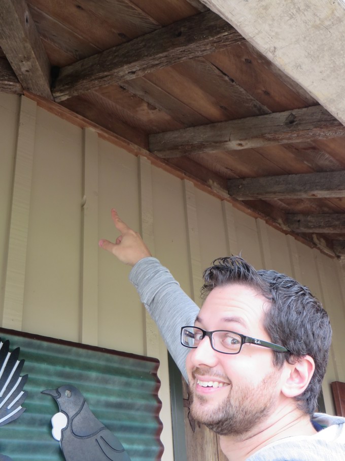 Brad our bachelor bat 4.JPG