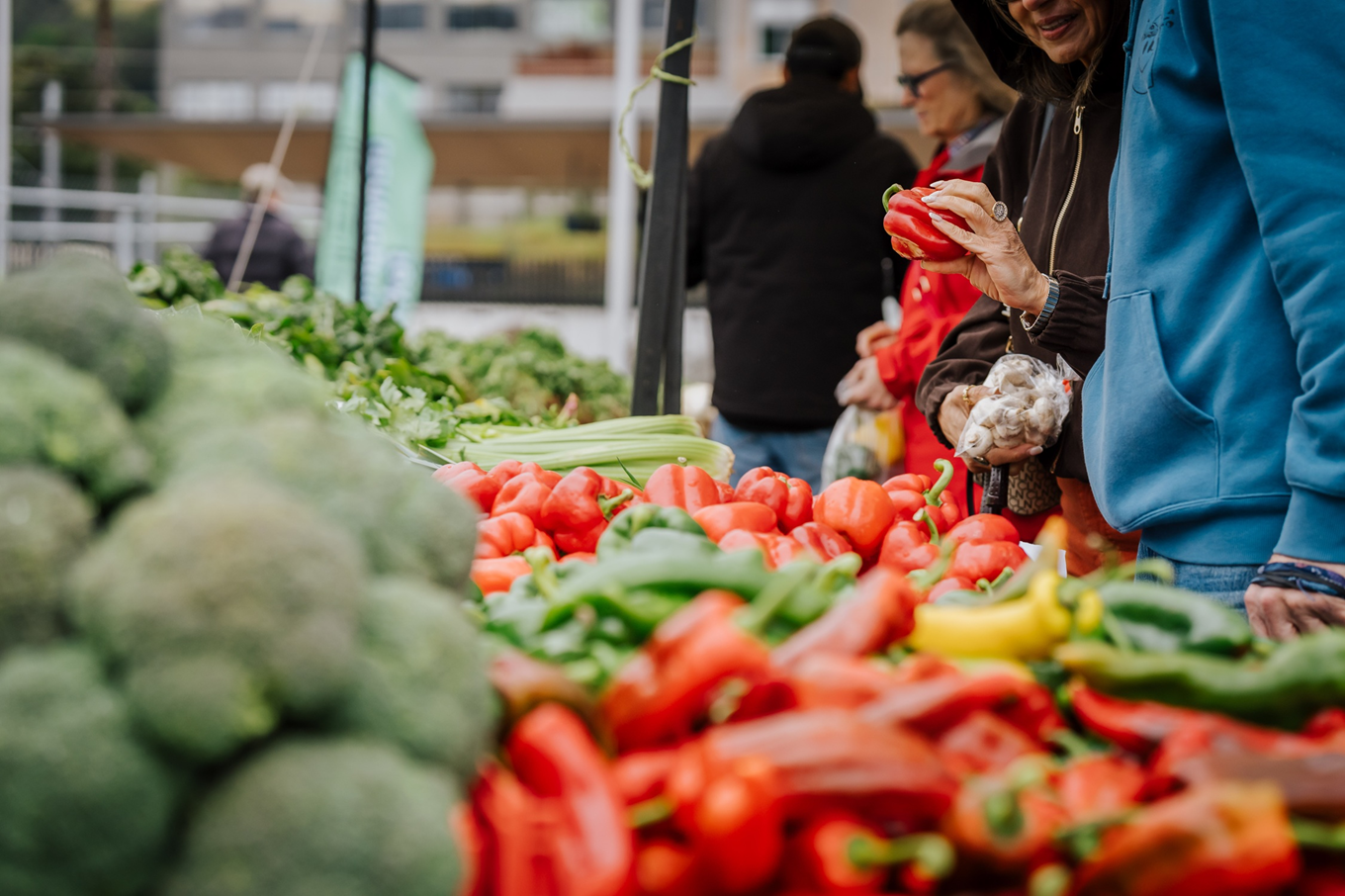 A variety of vegetables that people are looking to buy. 