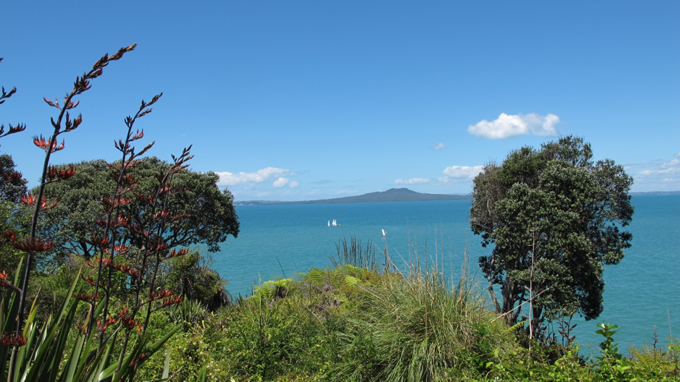 Train with AKL Paths: For the beginner 1