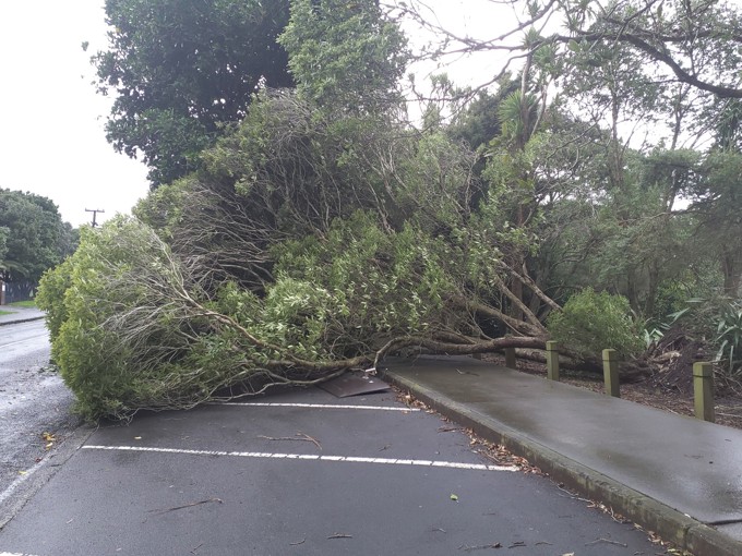 Washington Ave, Glendowie