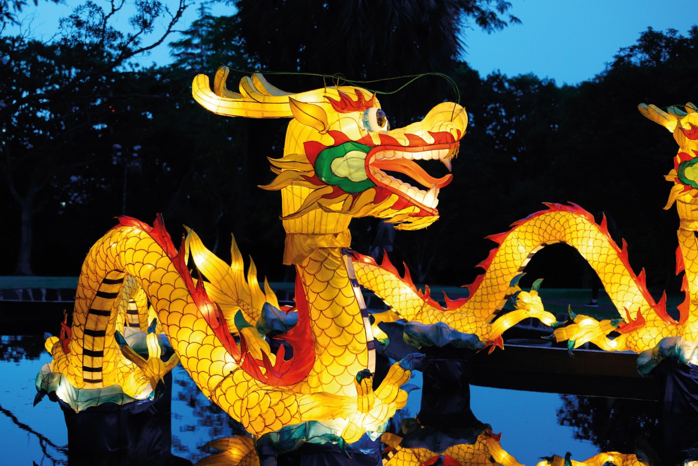 Lunar New Year Dragon Lantern.