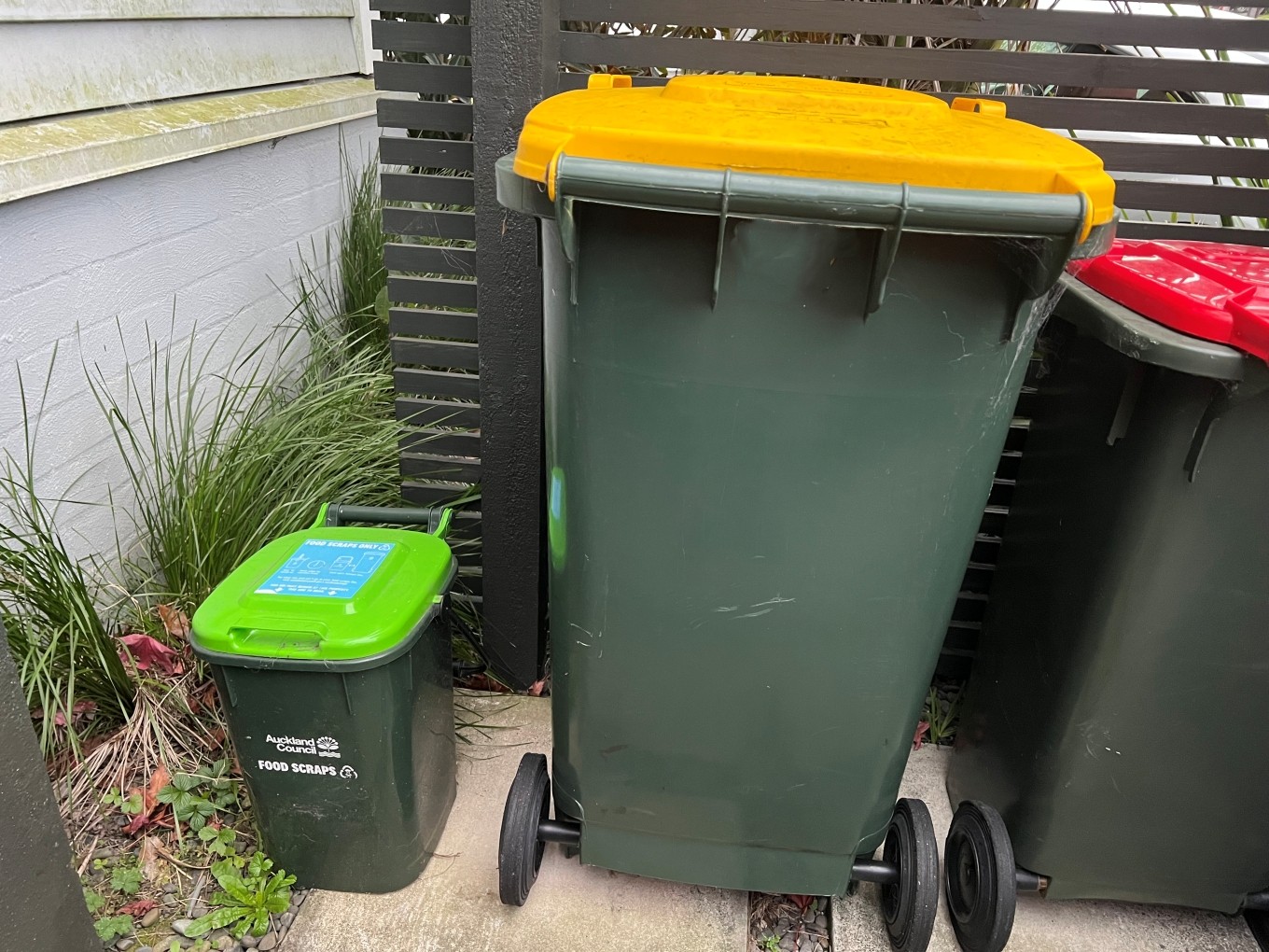 A collection of rubbish bins. 