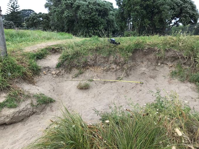 Long Bay Regional Park Farm Track