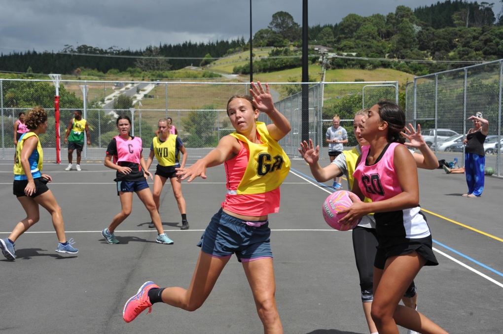 sports fund