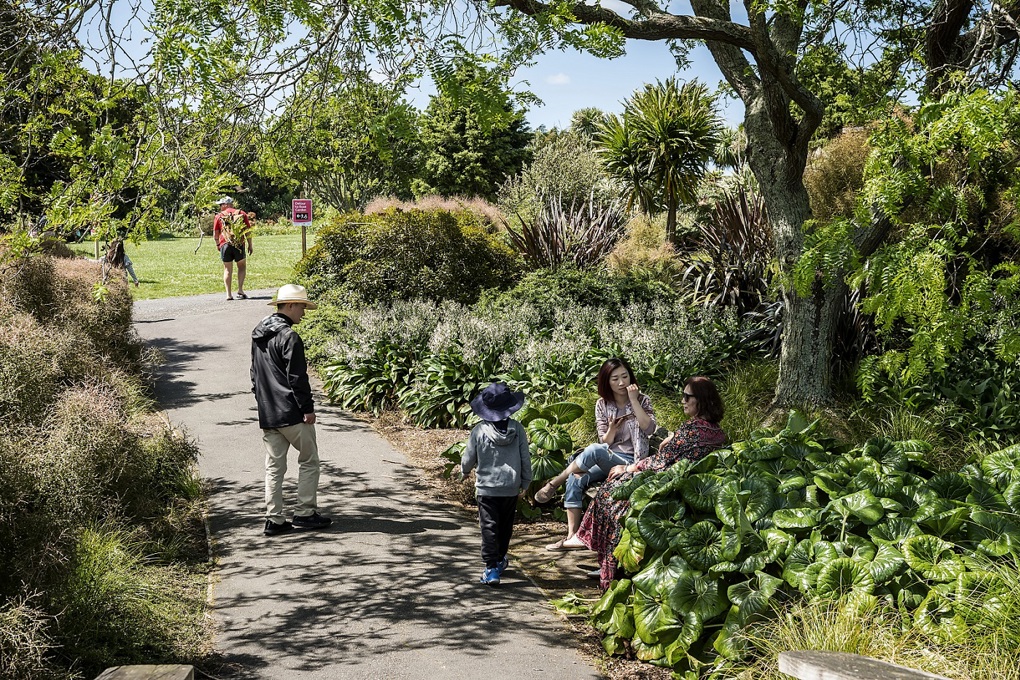 Great summer daytrips around Auckland (2)