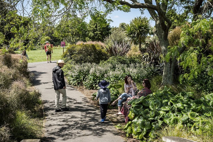 Great summer daytrips around Auckland (2)