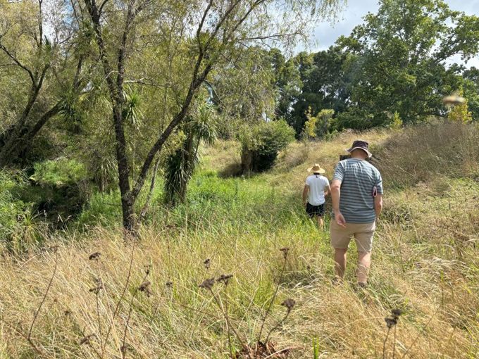 Ward Road WEB_yupixnya.jpg