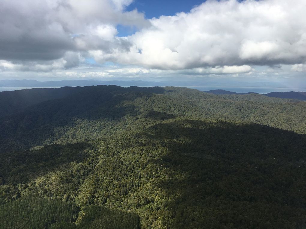 Hunua pest numbers at record low