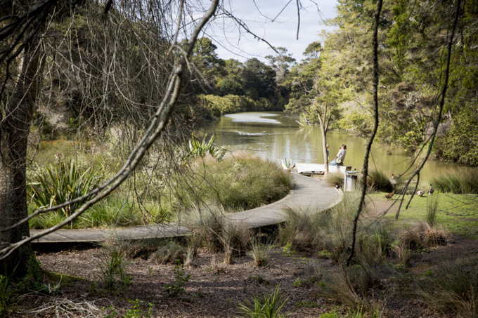 Spotlight on Upper Harbour 1