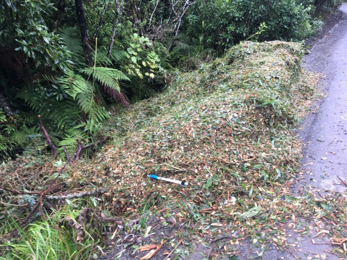 Illegal dumping case2