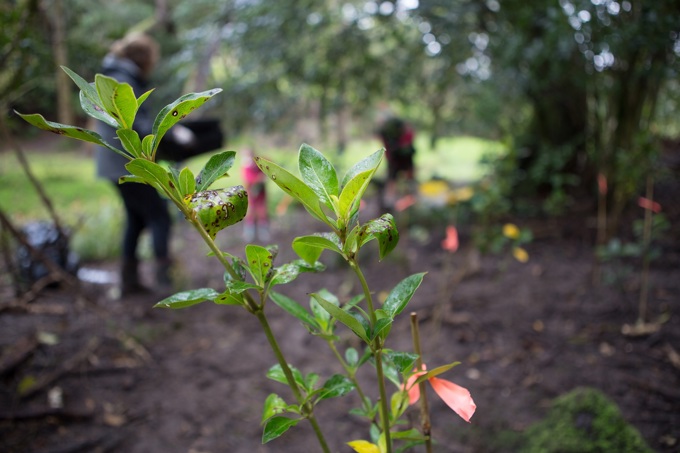 How to plant smarter by planning your planting 2