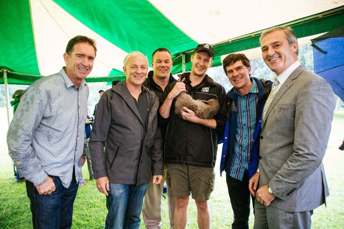 Little spotted kiwi are back! (1)