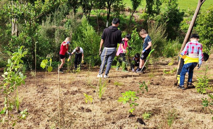 Grab a spade: Winter planting season kicks off across Upper Harbour