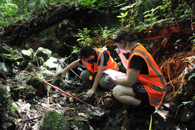20151203_HUNUA_Monitoring & banding_ (163).JPG