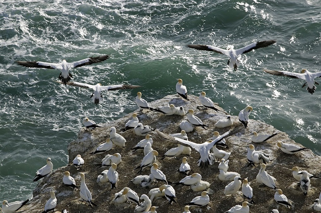 Have your say on how we manage Auckland's regional parks