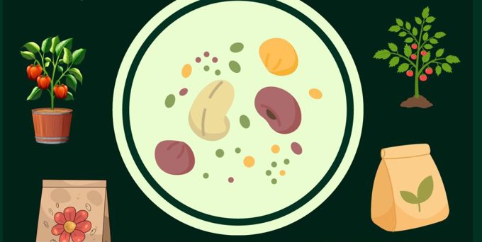 Seed Swap 2026 Banner Image 1000X503