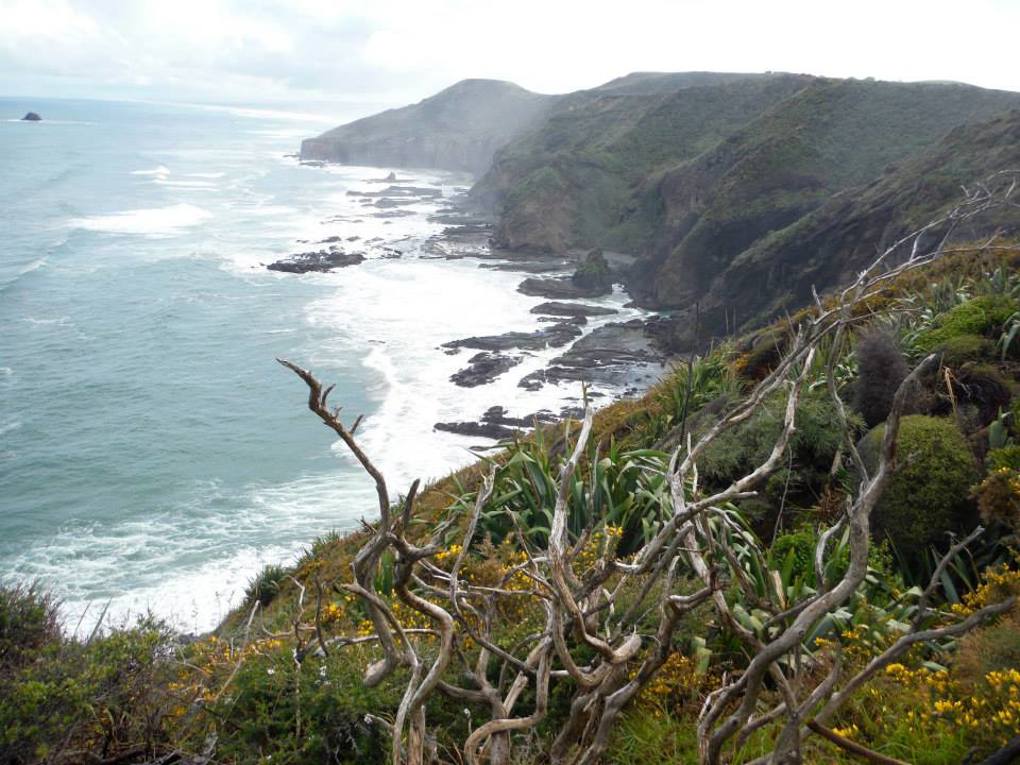 Hillary Trail scenery (30)