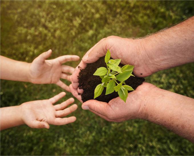 Plants and hands(1) (003)_idgwjh4n.jpg