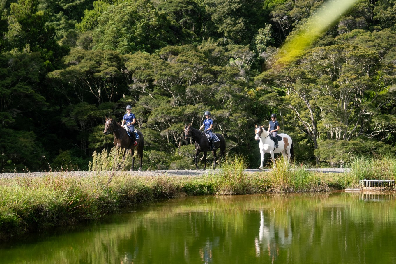 Horse riding trio. 