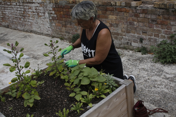 Penny Hulse composting (in article image)